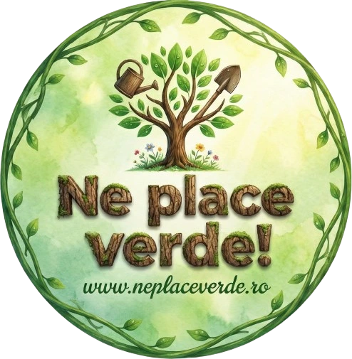 Logo Ne Place Verde
