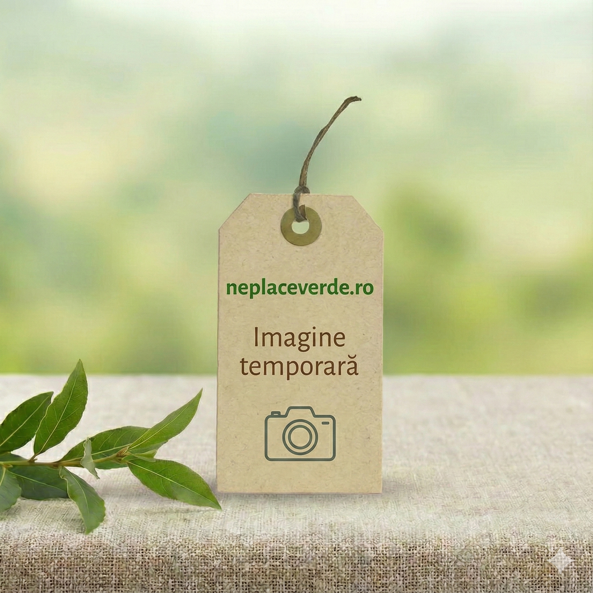 Tech Garden Composition